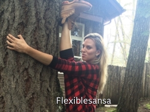 Flexiblesansa