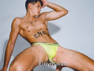 Floydswan