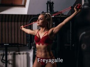 Freyagalle