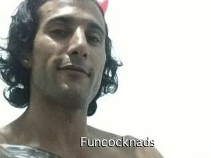 funcocknads Anal Fist