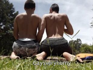 Gaysveryhorny