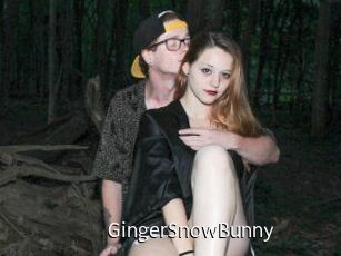 GingerSnowBunny