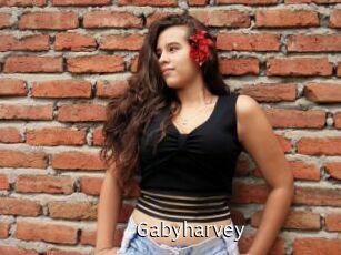 Gabyharvey