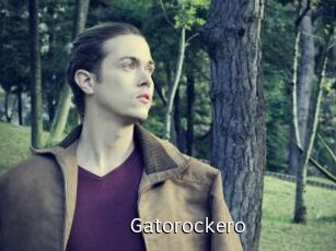 gatorockero Anal Fist