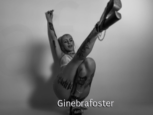 Ginebrafoster