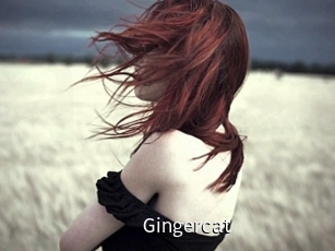 Gingercat