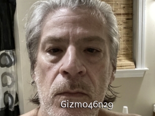 Gizmo46n29