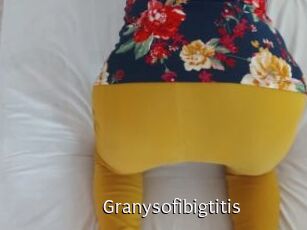 Granysofibigtitis