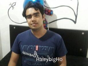 HairybigHo