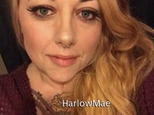 Harlow_Mae