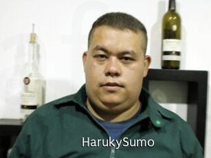 Haruky_Sumo Anal Fist