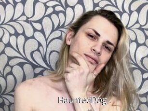 HauntedDog