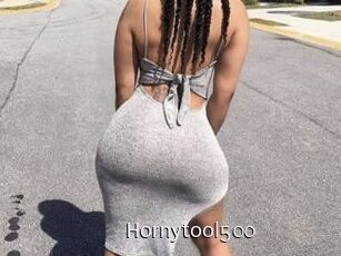 Hornytool500