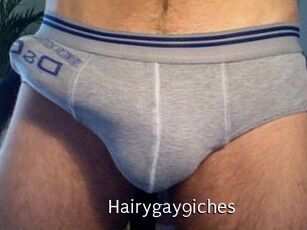 Hairygay9iches
