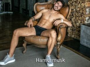 Hamermusk