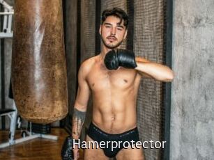Hamerprotector