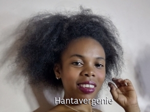 Hantavergenie