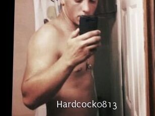 hardcock0813 Anal Fist