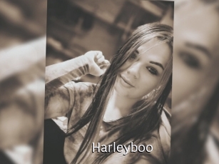 Harleyboo