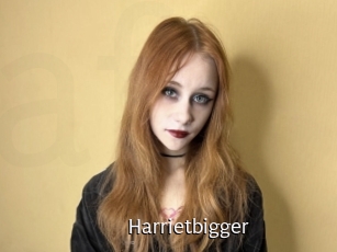 Harrietbigger