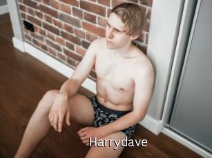 Harrydave