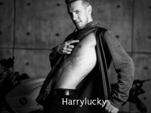 Harrylucky