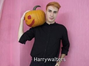 Harrywalters