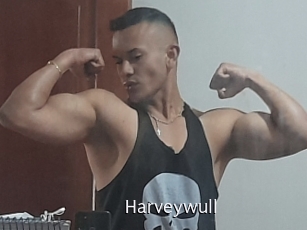 Harveywull