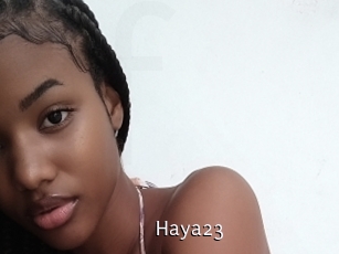 Haya23
