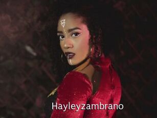 Hayleyzambrano