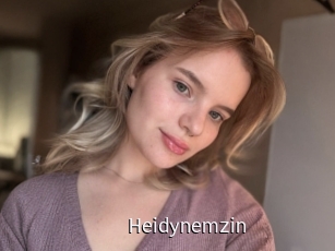 Heidynemzin