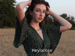 Heylarose