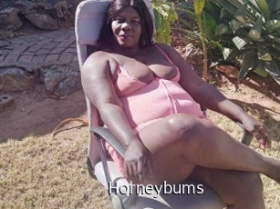 horneybums Anal Fist