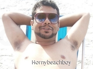 Hornybeachboy