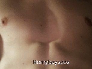 Hornyboy2002