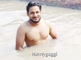 Hornygaggi