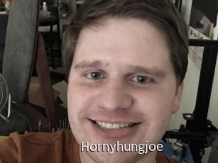 hornyhungjoe Anal Fist