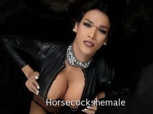 Horsecockshemale