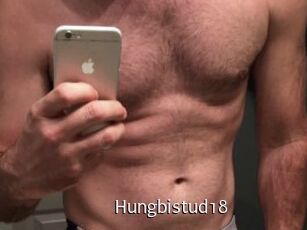 Hungbistud18