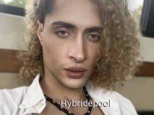 Hybridepool