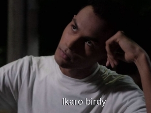 Ikaro_birdy