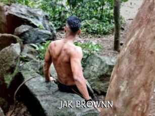 JAK_BROWNN