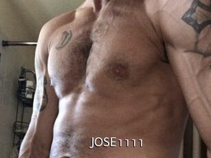 JOSE1111 Anal Fist