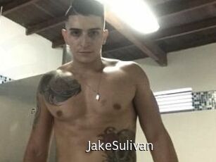 Jake_Sulivan
