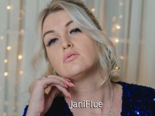 JaniFlue