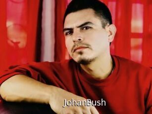 JohanBush