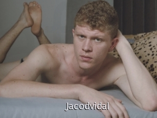 jacodvidal Anal Fist