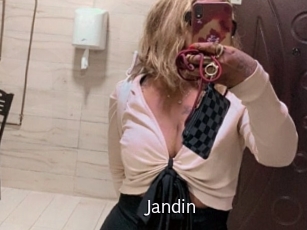 jandin Anal Fist
