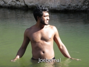 joebernal Anal Fist