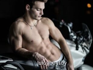juicyboytoy Anal Fist